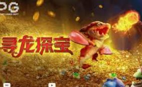 ayx手机版登录入口2024最新版