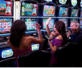 ayx手机版登录入口免费版